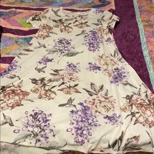 Xxs Lularoe Carly